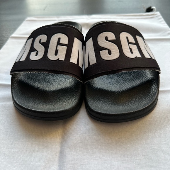 MSGS Pool Slides - Picture 3 of 8